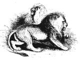 Syrian Lion (Felis leo). Heb. ARI, ARIeH, GOR, KePhIR, LaBIA, LaISh, ShaChaL. Frequent refs.